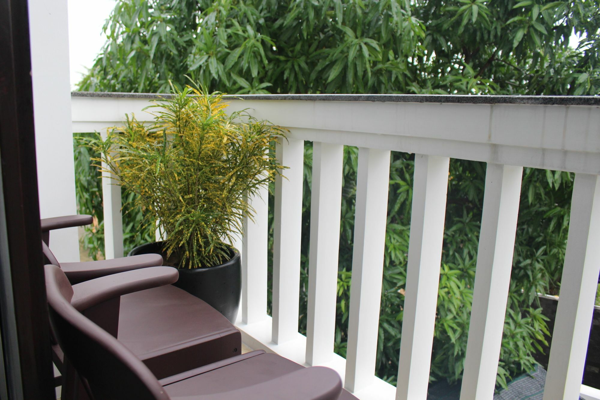 Hoi An Coco Couple Homestay Exterior photo